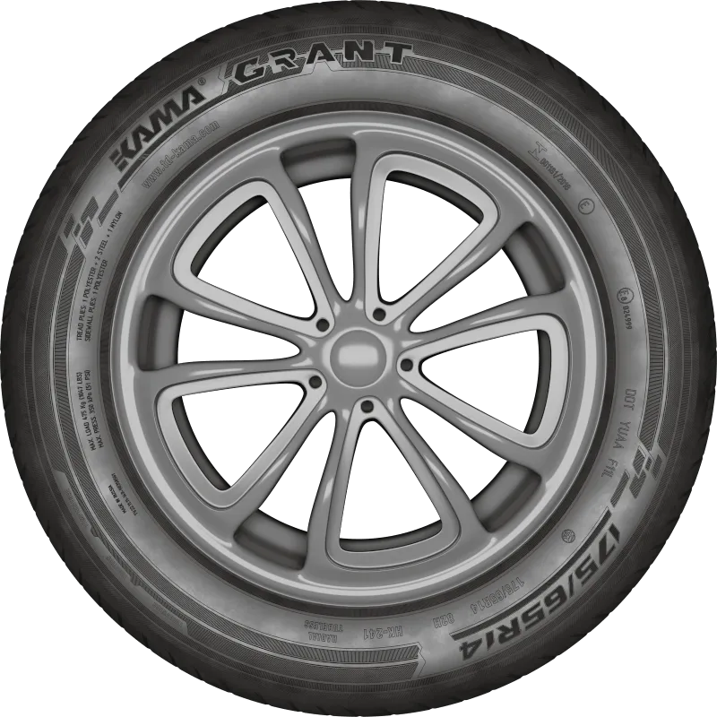 KAMA GRANT (НК-241) в Медвежьегорске — KAMA TYRES KAMA GRANT (НК-241) в Медвежьегорске